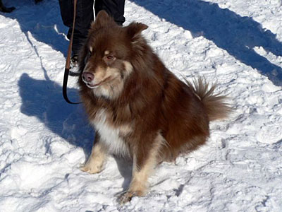 Villi-Joikhu Meno-Mono